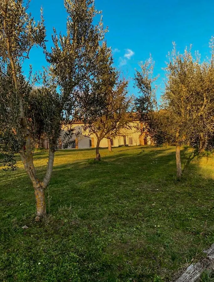 Green House Siena Apartment Sant'andrea a Montecchio