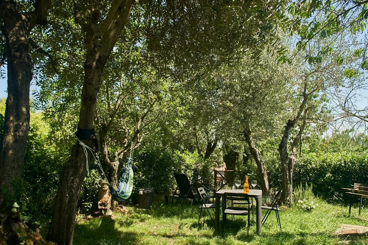 Green House Siena Apartment Sant'andrea a Montecchio