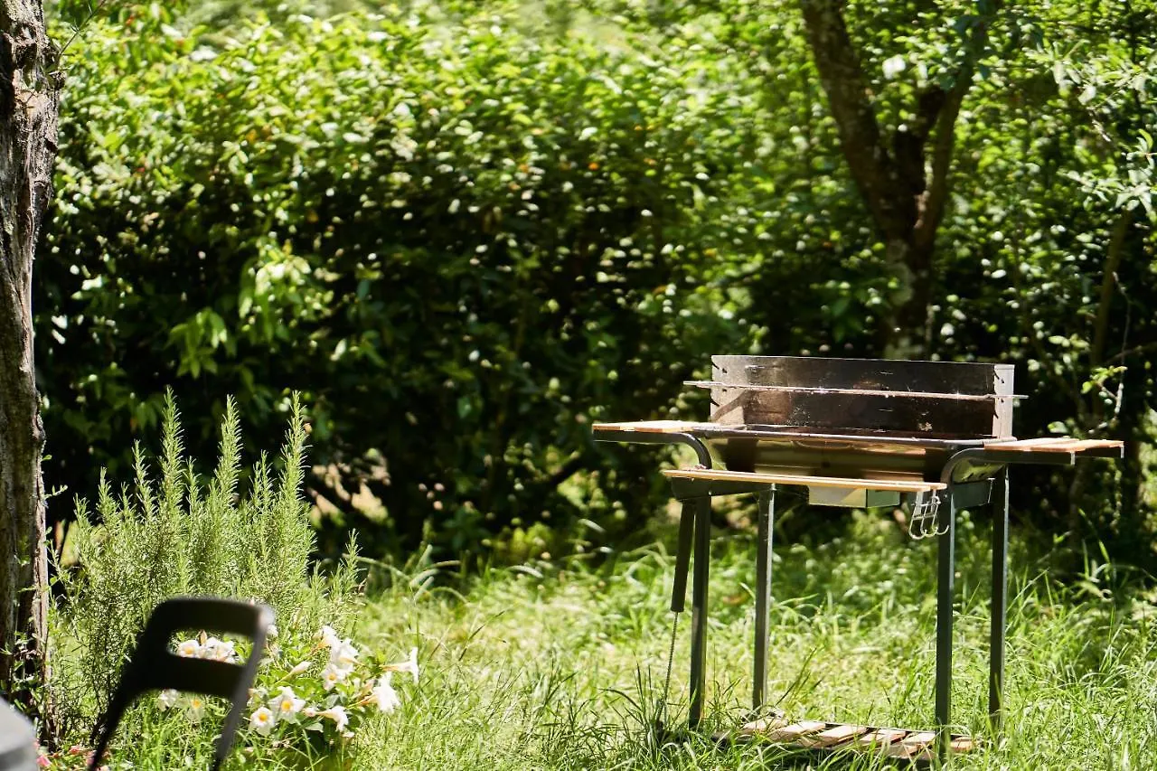 Green House Siena Apartment Sant'andrea a Montecchio 0*,